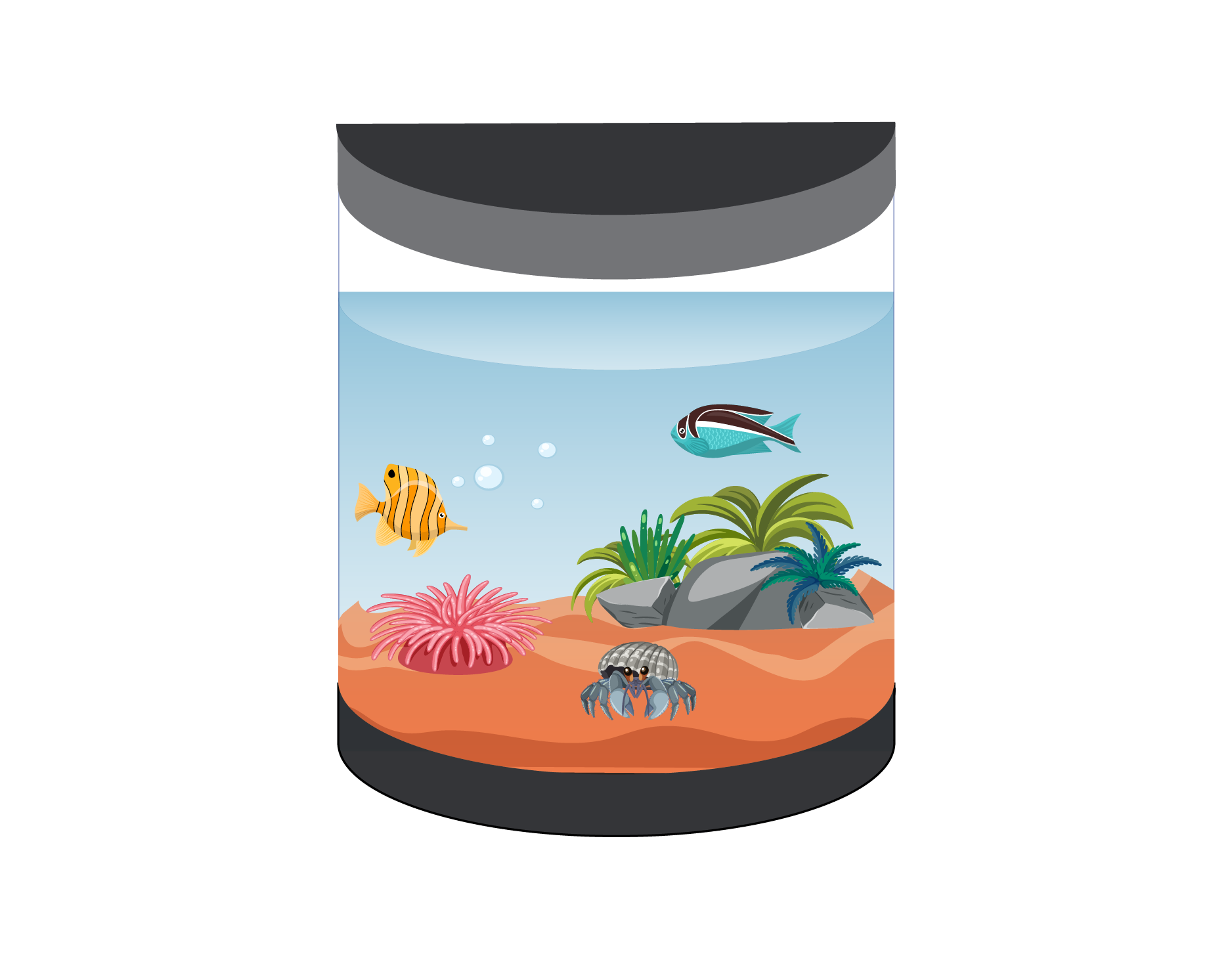 аквариум-полуцилиндр