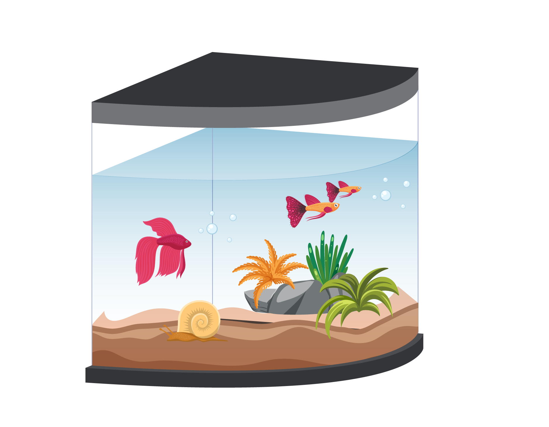 аквариум-сектор-90-градусов