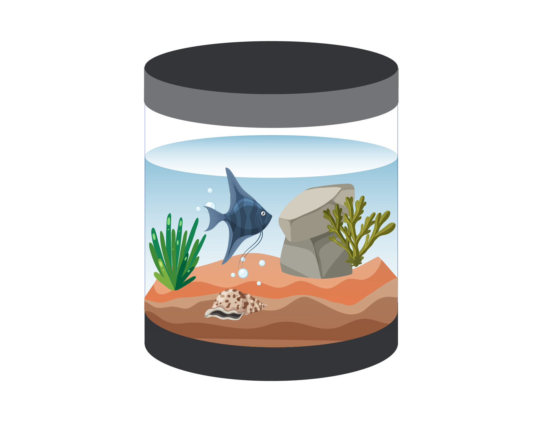 аквариум-цилиндр