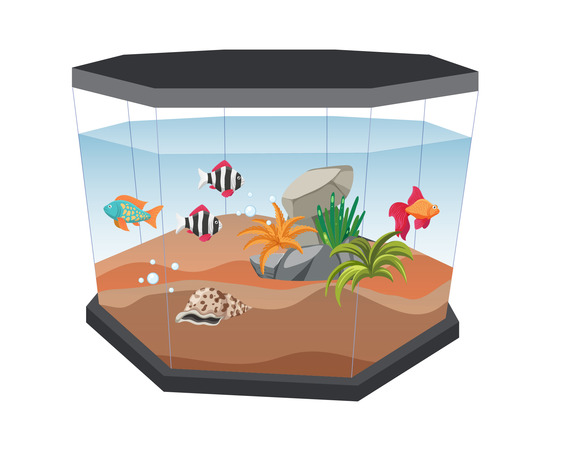 аквариум-шестигранник
